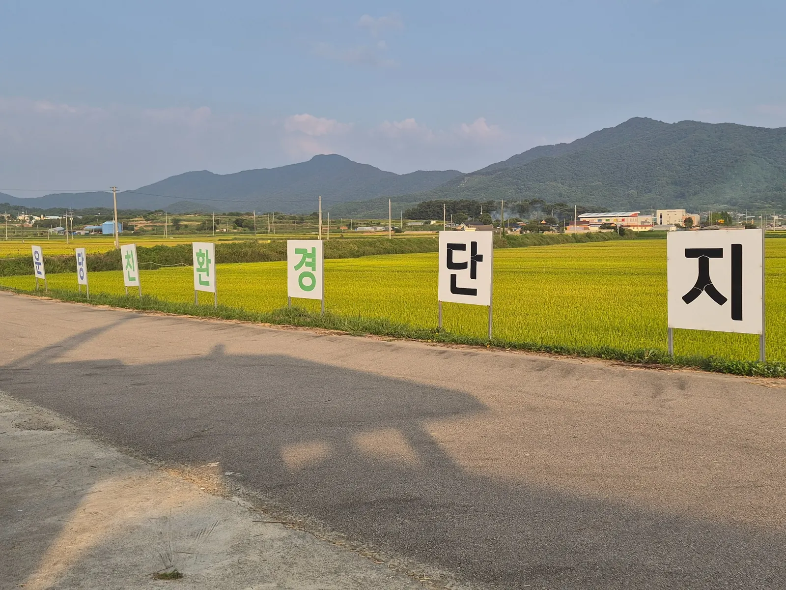 Eco-friendly rice farming area surrounded by fields and mountains in rural Yeonggwang, Korea