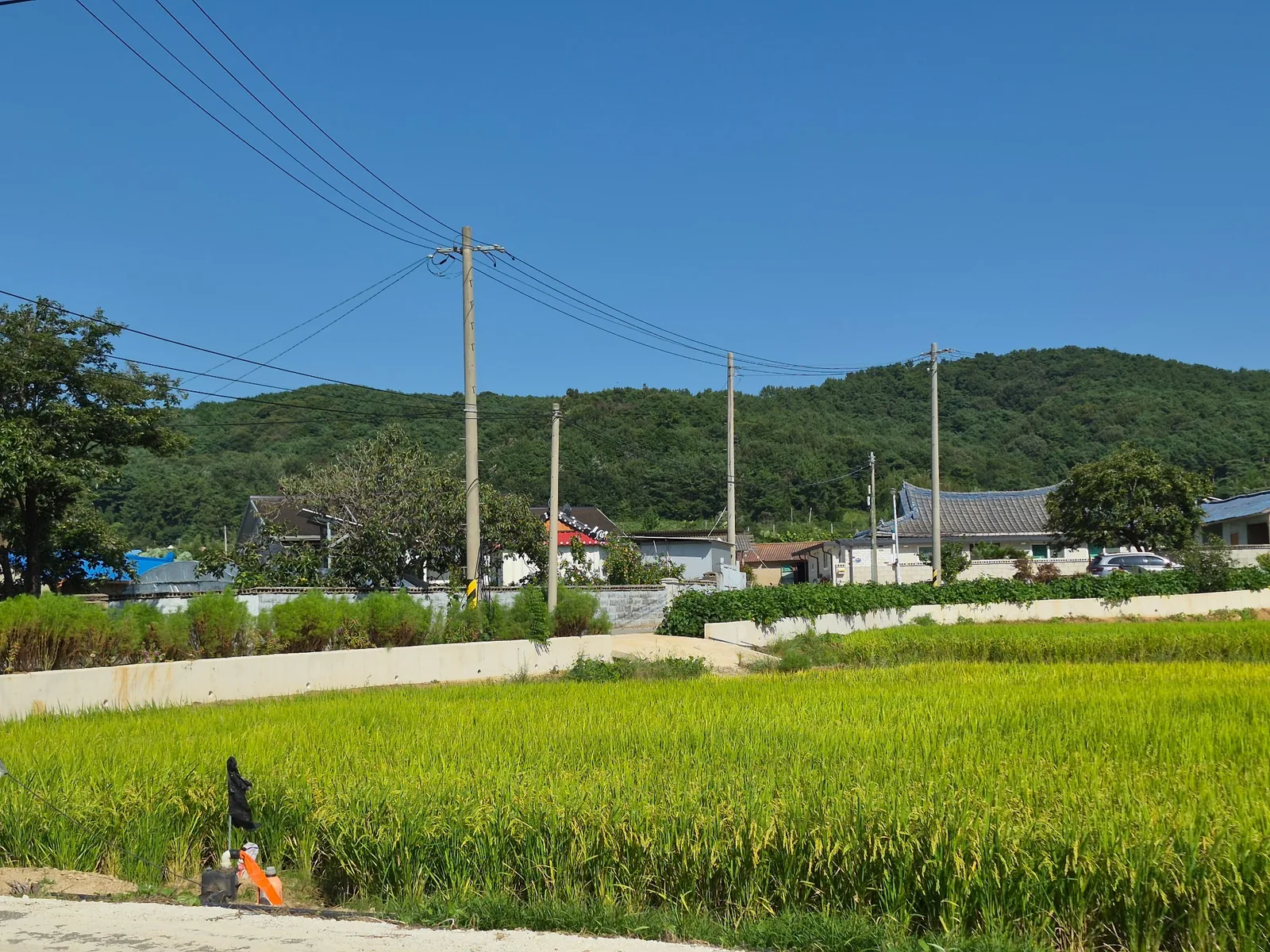 What Korean Rural Houses Are Really Like Today