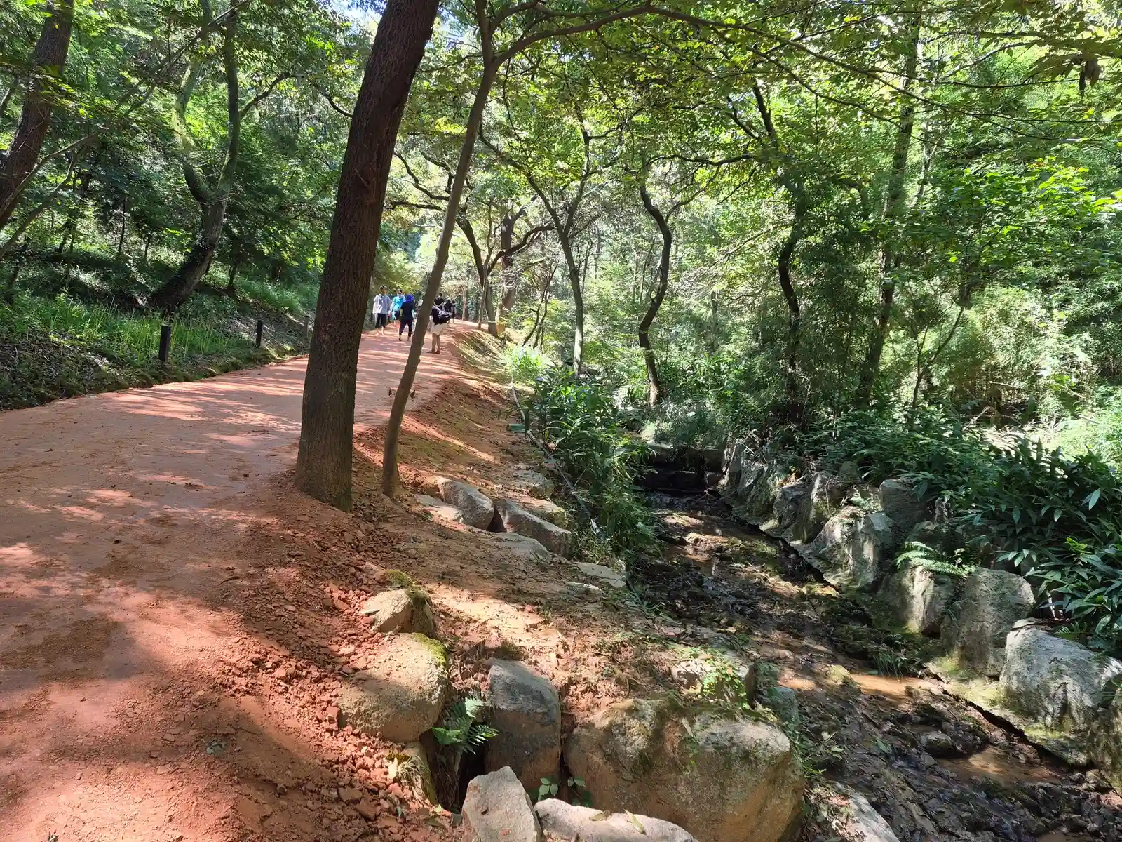 Barefoot red clay trail through Mulmusan Happy Forest in Yeonggwang, South Korea