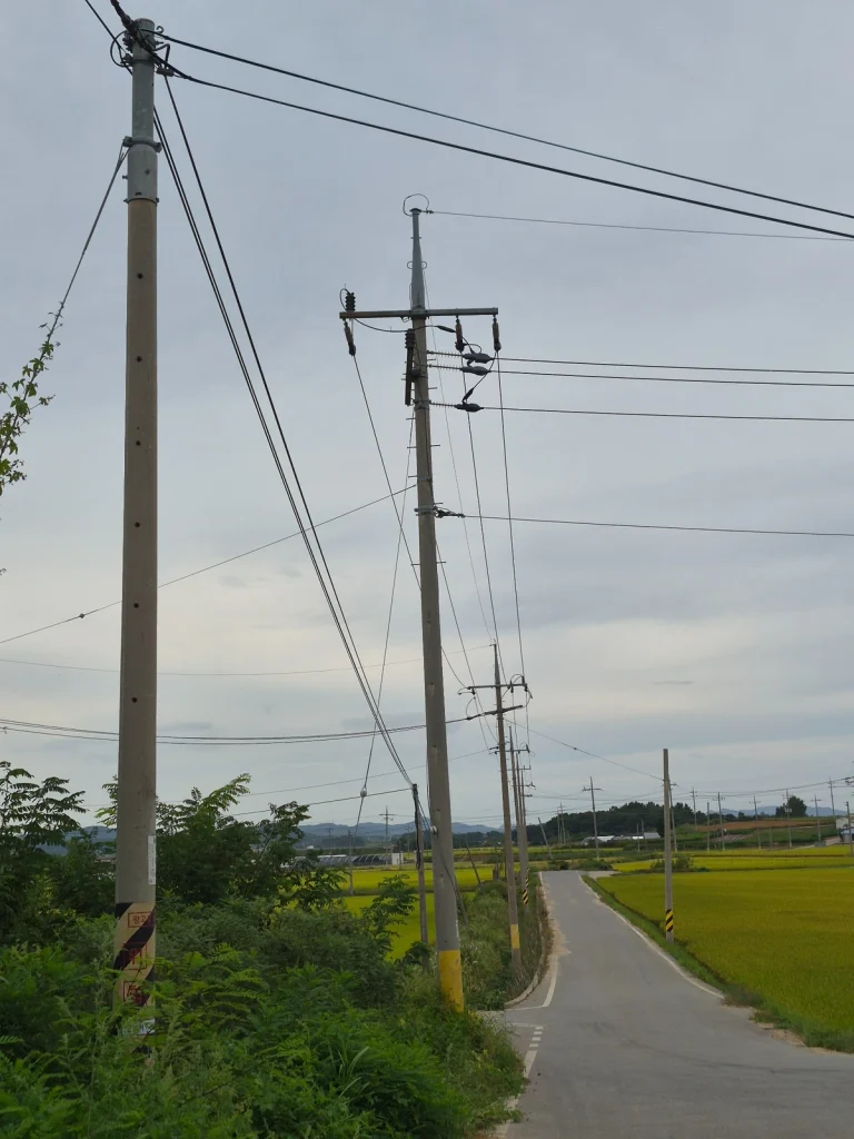 Utility poles and overhead lines continuing along a small rural road in South Korea