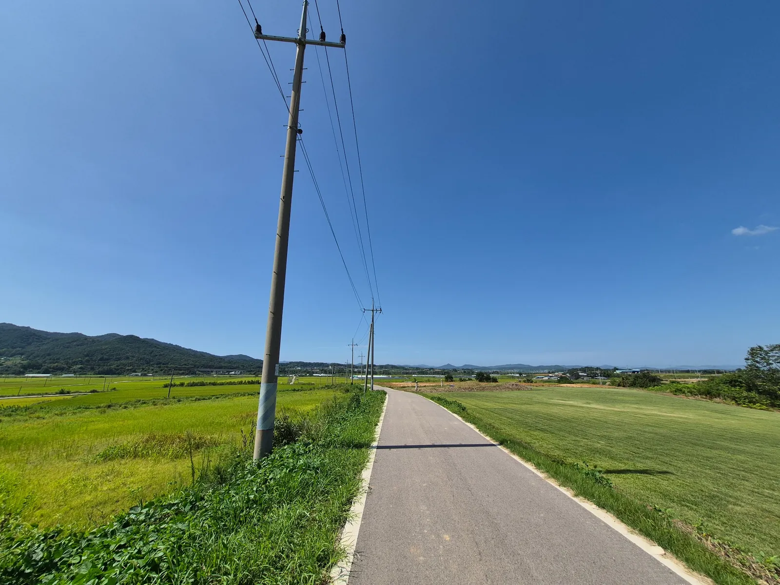 Quiet rural road surrounded by rice fields in Yeonggwang, South Korea