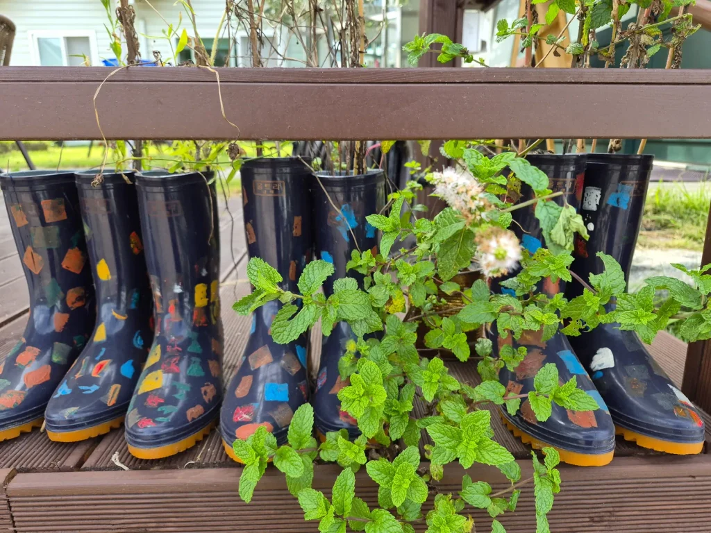 Colorfully painted old rain boots reused beside green plants in rural Korea