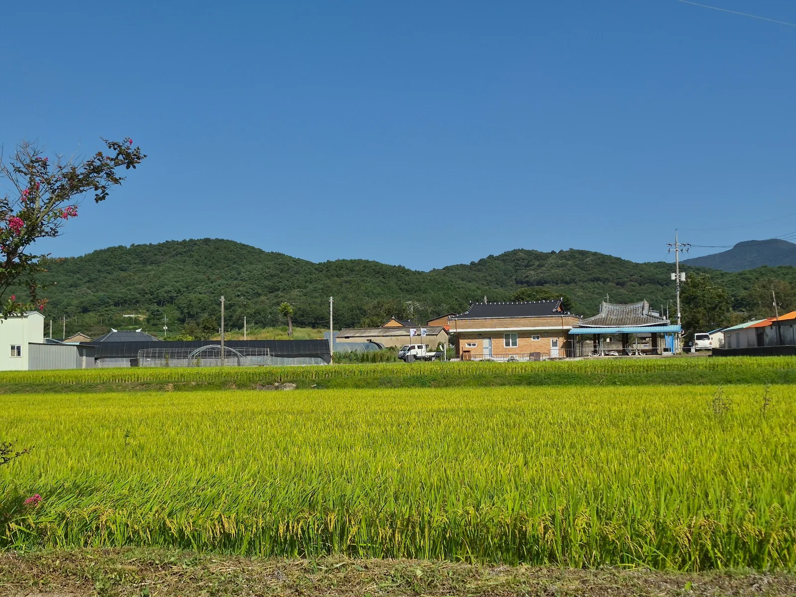 What Is Rural Korea Really Like? A Look Beyond Seoul