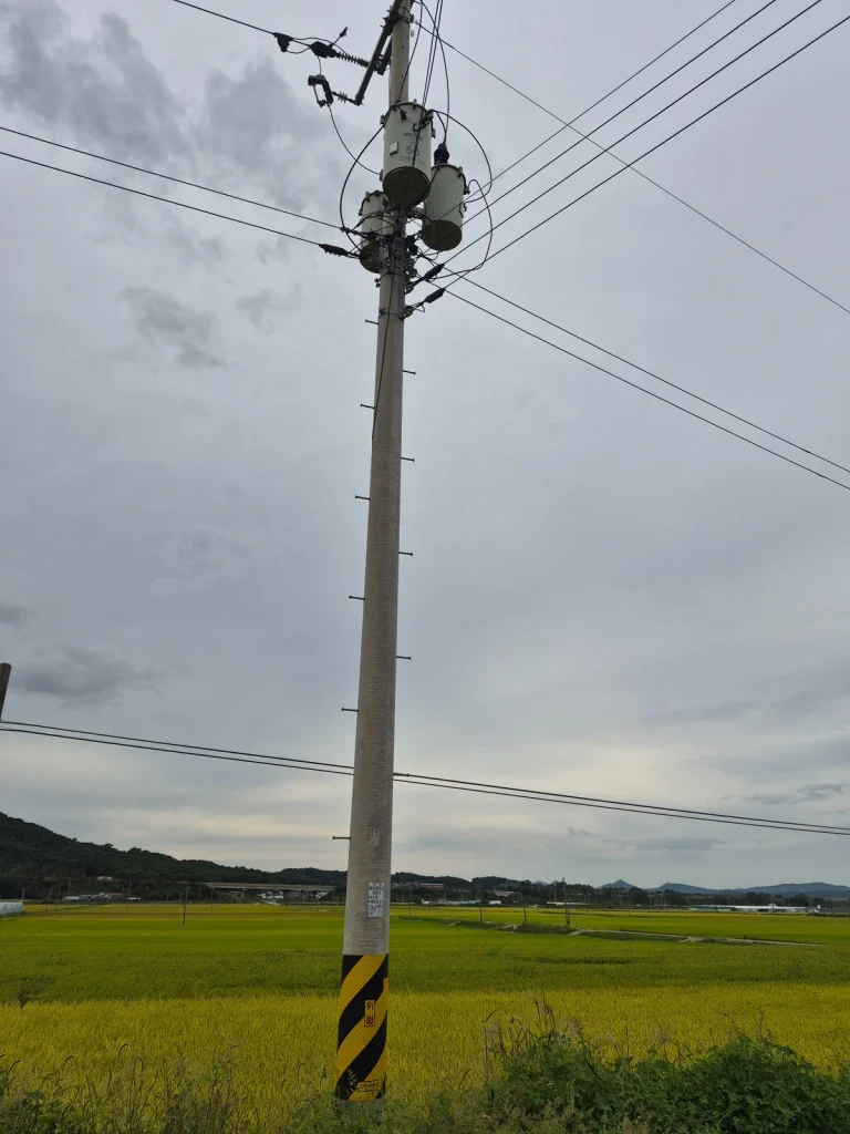 Electrical transformers and overhead lines mounted on a utility pole in rural Korea