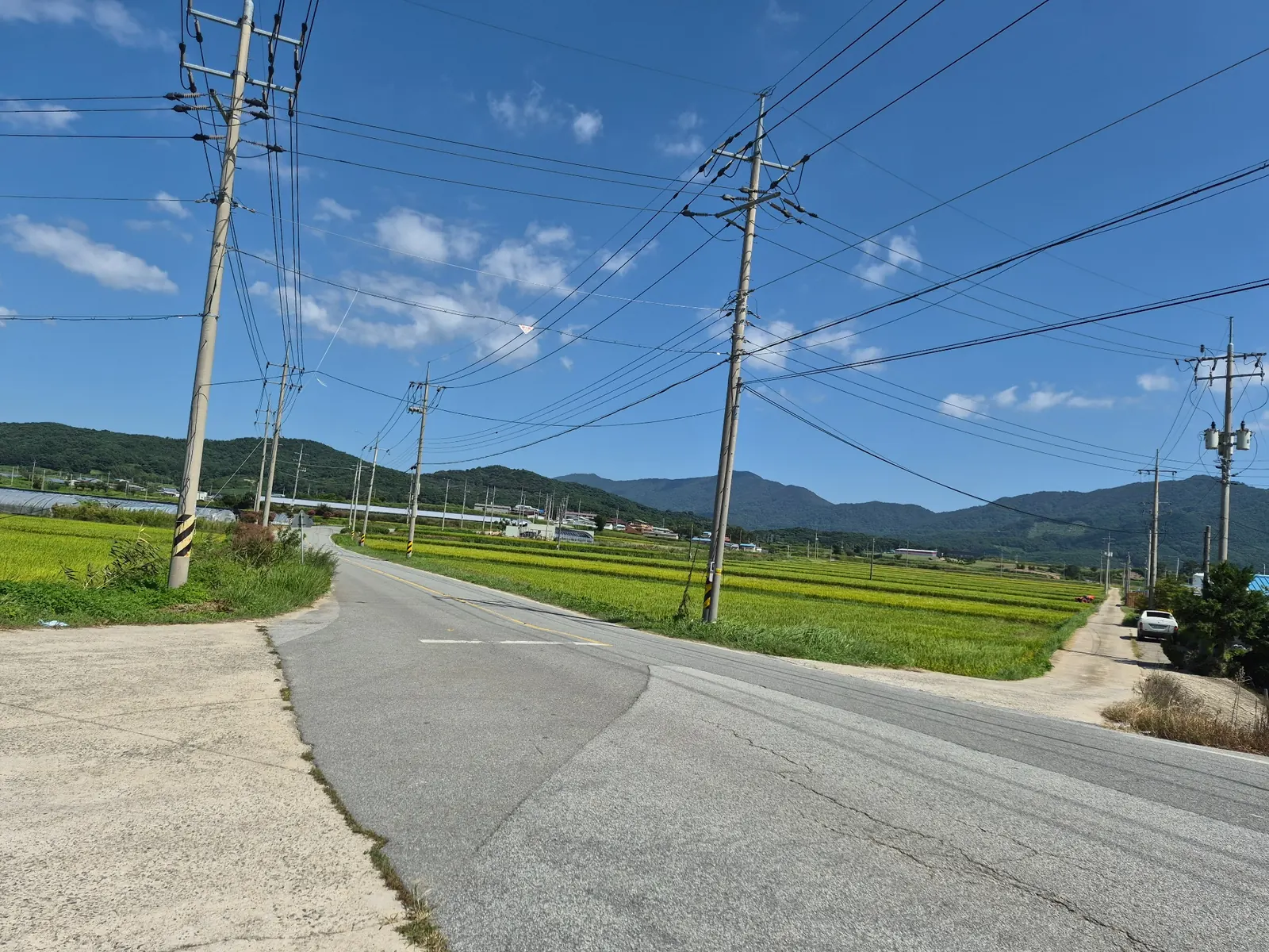 Utility poles and overhead power lines crossing rice fields in rural South Korea