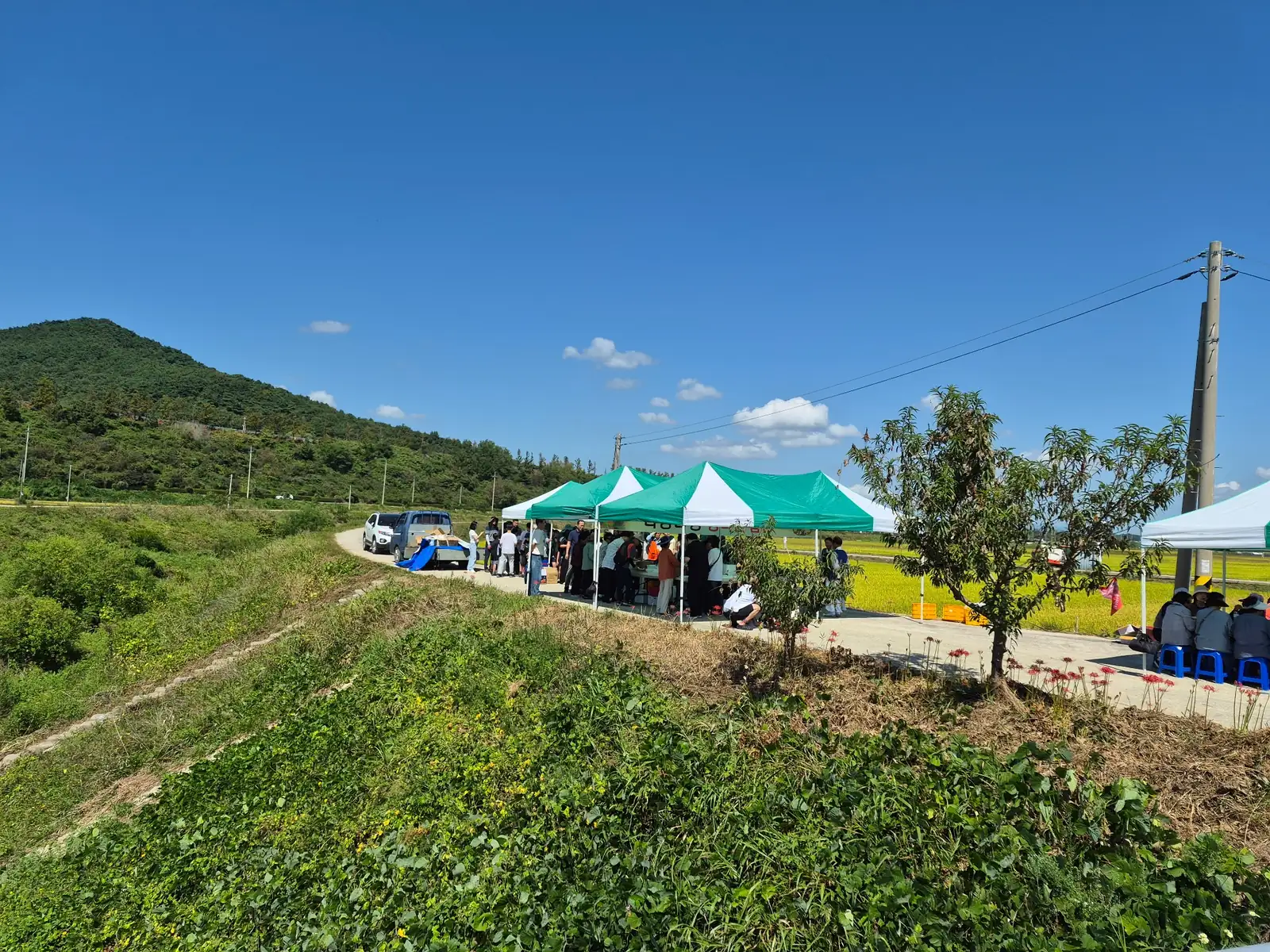 People gathering at a rural harvest festival in Myoryang, South Korea