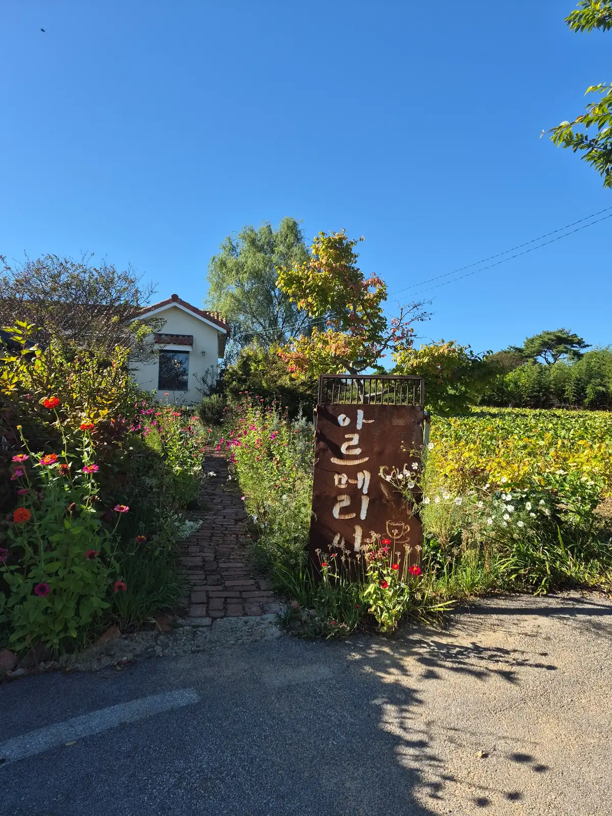 Flower-lined brick pathway and rustic Armeria café sign in the countryside of Gochang, South Korea