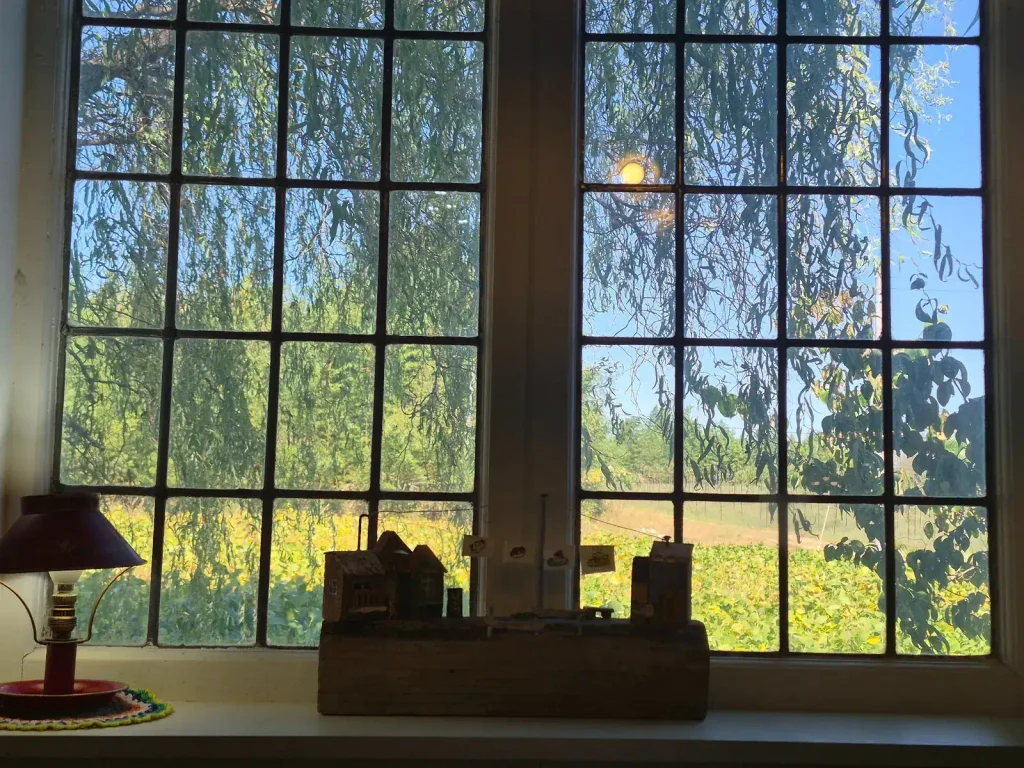 Large divided-pane café window overlooking leafy trees and green countryside at Armeria in Gochang, Korea