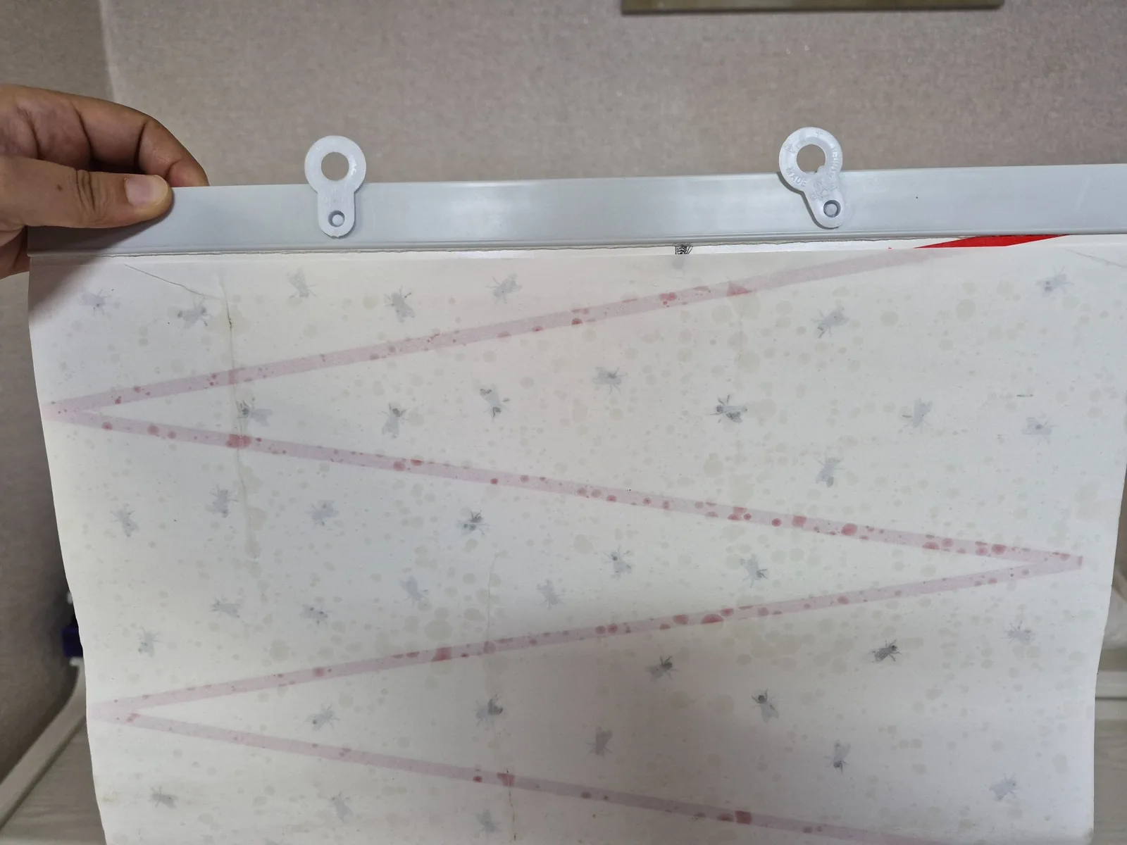 Calendar-style fly trap with white paper sheets, red zigzag patterns, and a plastic hanging rail, photographed in rural Korea.