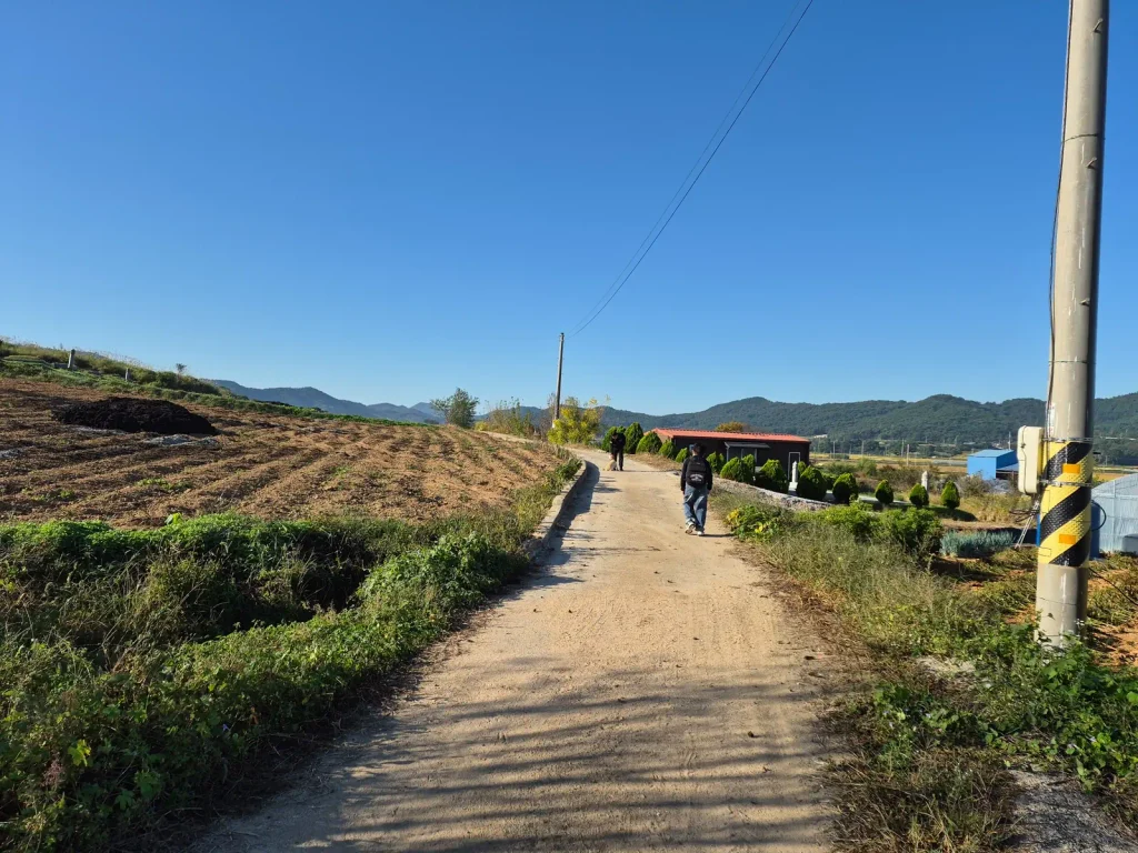 Child walking along a quiet rural road toward school in South Korea