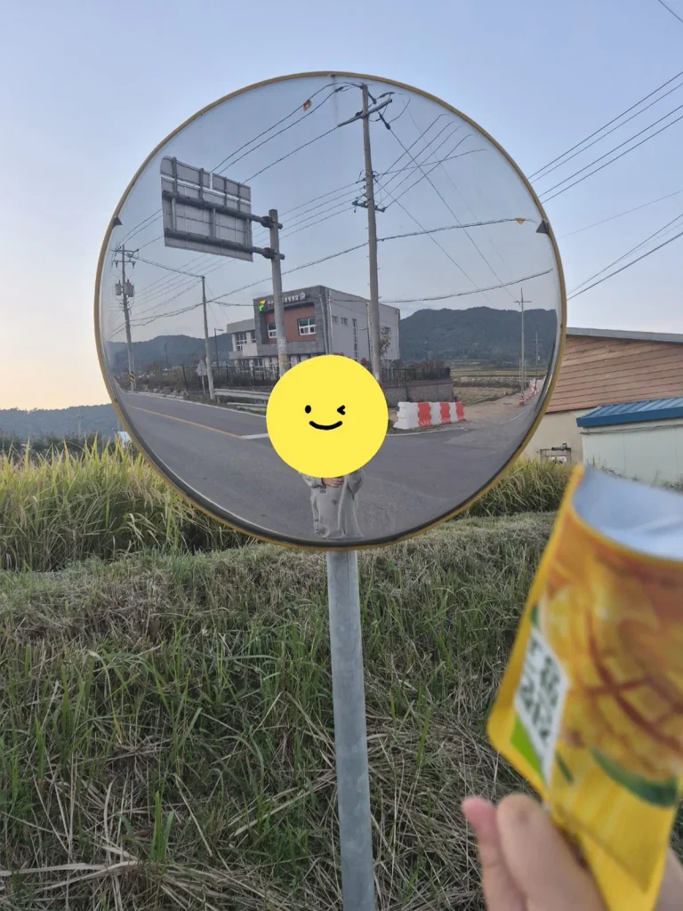 Roadside convex traffic mirror reflecting a family walk along a quiet road in rural Korea