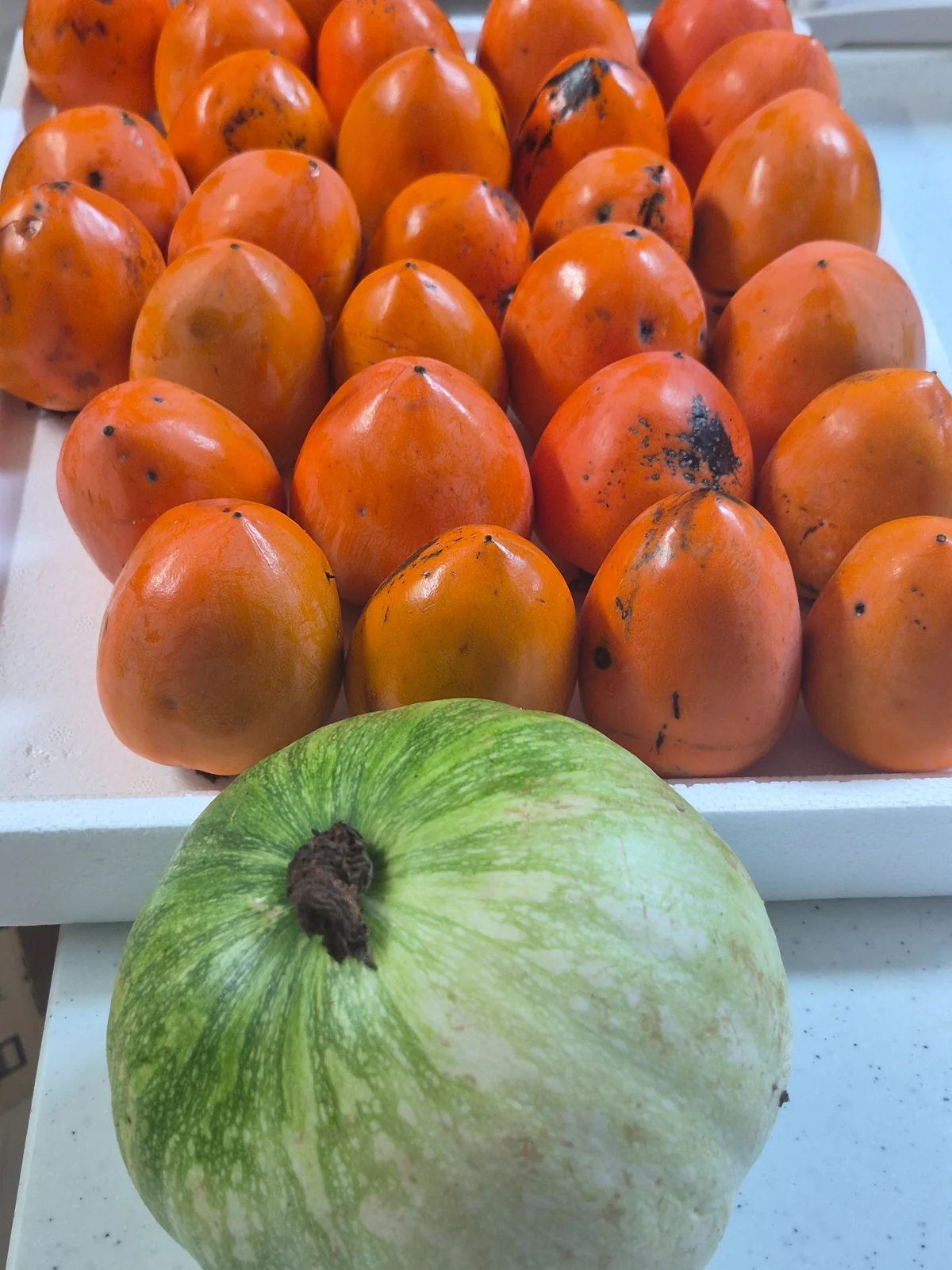 Seasonal persimmons and Korean zucchini shared by neighbors in rural Korea
